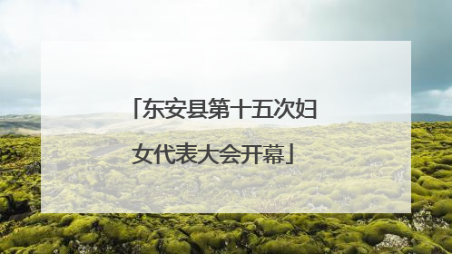东安县第十五次妇女代表大会开幕