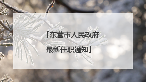 东营市人民政府最新任职通知