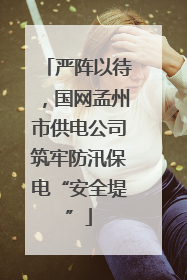 严阵以待，国网孟州市供电公司筑牢防汛保电“安全堤”