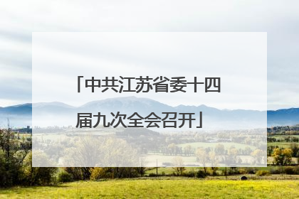 中共江苏省委十四届九次全会召开