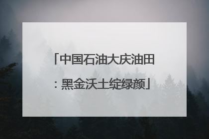 中国石油大庆油田：黑金沃土绽绿颜