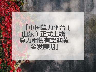 中国算力平台（山东）正式上线 算力租赁有望迎黄金发展期