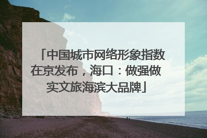 中国城市网络形象指数在京发布，海口：做强做实文旅海滨大品牌