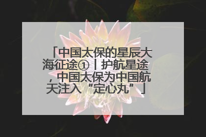 中国太保的星辰大海征途①丨护航星途，中国太保为中国航天注入“定心丸”