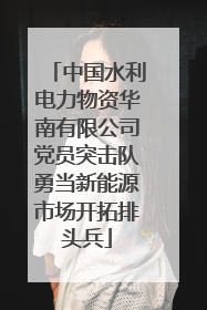 中国水利电力物资华南有限公司党员突击队勇当新能源市场开拓排头兵