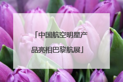 中国航空明星产品亮相巴黎航展
