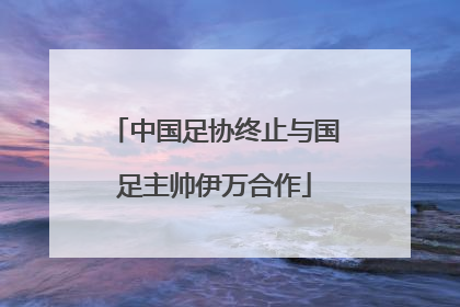 中国足协终止与国足主帅伊万合作