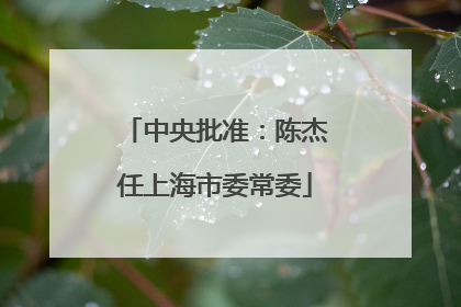 中央批准：陈杰任上海市委常委