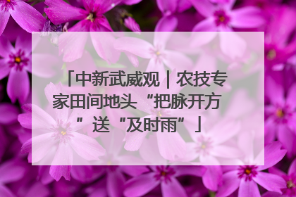 中新武威观｜农技专家田间地头“把脉开方”送“及时雨”