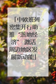 中欧班列密集开行助推“落地经济” 激活周边地区发展新动能