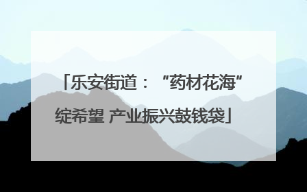 乐安街道：“药材花海”绽希望 产业振兴鼓钱袋