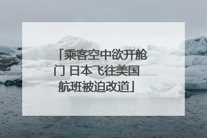 乘客空中欲开舱门 日本飞往美国航班被迫改道