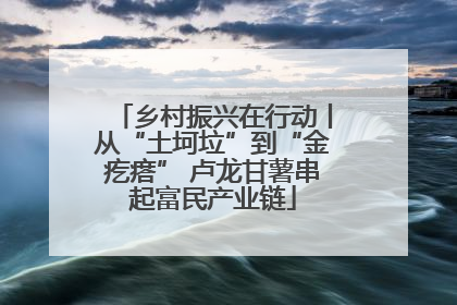乡村振兴在行动丨从“土坷垃”到“金疙瘩” 卢龙甘薯串起富民产业链
