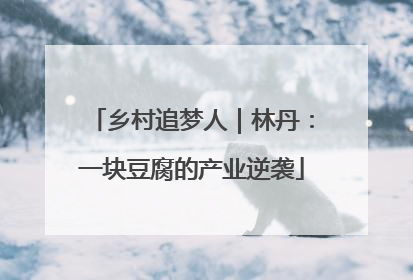 乡村追梦人｜林丹：一块豆腐的产业逆袭