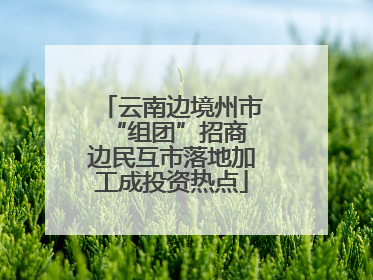 云南边境州市“组团”招商 边民互市落地加工成投资热点