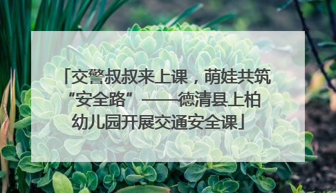 交警叔叔来上课，萌娃共筑 “安全路”——德清县上柏幼儿园开展交通安全课