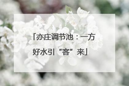 亦庄调节池：一方好水引“客”来