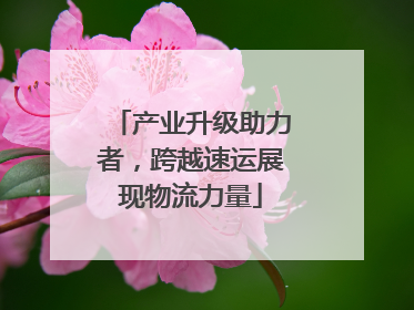 产业升级助力者，跨越速运展现物流力量