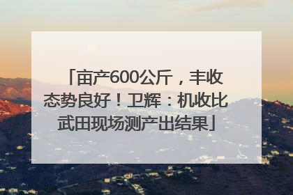 亩产600公斤，丰收态势良好！卫辉：机收比武田现场测产出结果