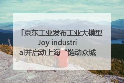 京东工业发布工业大模型Joy industrial并启动上海“链动众城 万亿降本”计划