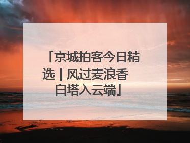 京城拍客今日精选｜风过麦浪香 白塔入云端