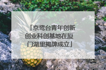 京鹭台青年创新创业科创基地在厦门湖里揭牌成立