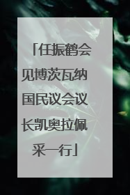 任振鹤会见博茨瓦纳国民议会议长凯奥拉佩采一行