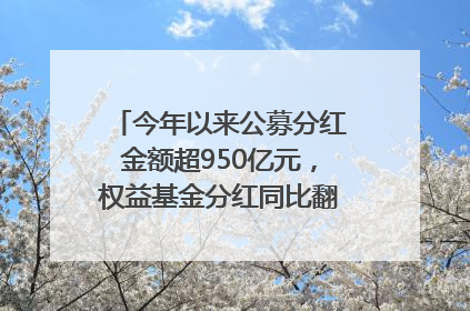 今年以来公募分红金额超950亿元，权益基金分红同比翻倍｜招财猫