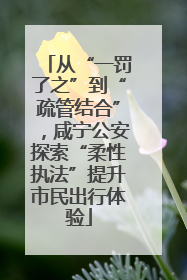 从“一罚了之”到“疏管结合”，咸宁公安探索“柔性执法”提升市民出行体验