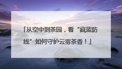 从空中到茶园，看“藏蓝防线”如何守护云雾茶香！
