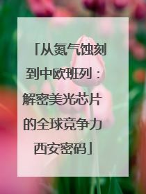 从氮气蚀刻到中欧班列：解密美光芯片的全球竞争力西安密码