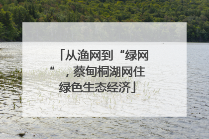 从渔网到“绿网”，蔡甸桐湖网住绿色生态经济