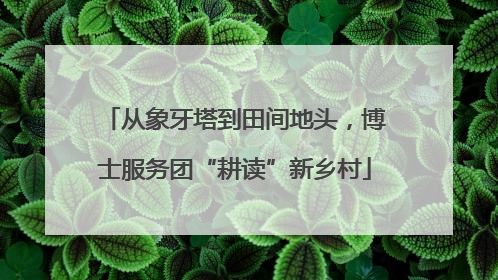 从象牙塔到田间地头，博士服务团“耕读”新乡村