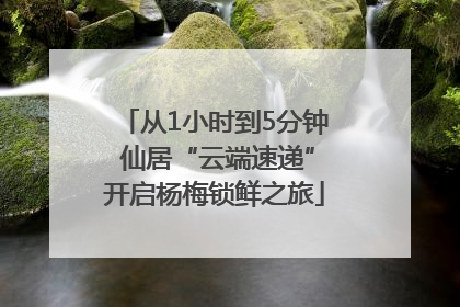 从1小时到5分钟 仙居“云端速递”开启杨梅锁鲜之旅