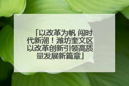 以改革为帆 闯时代新潮！潍坊奎文区以改革创新引领高质量发展新篇章