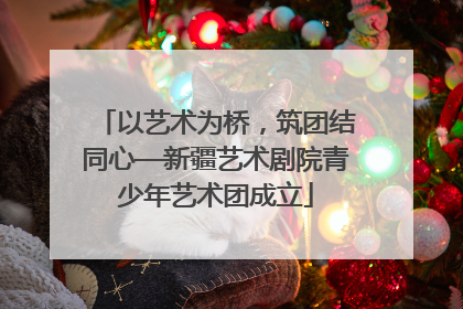 以艺术为桥，筑团结同心—新疆艺术剧院青少年艺术团成立