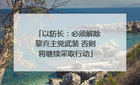 以防长：必须解除黎真主党武装 否则将继续采取行动