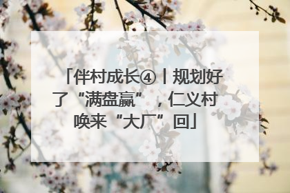 伴村成长④丨规划好了“满盘赢”，仁义村唤来“大厂”回