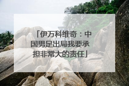 伊万科维奇：中国男足出局我要承担非常大的责任