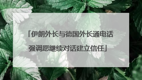 伊朗外长与德国外长通电话 强调愿继续对话建立信任