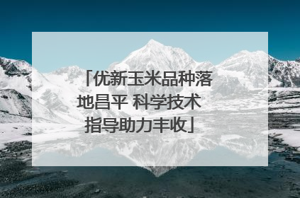 优新玉米品种落地昌平 科学技术指导助力丰收