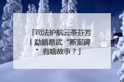 司法护航云茶芬芳丨勐腊易武“断案碑”有啥故事？