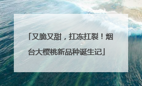 又脆又甜，扛冻扛裂！烟台大樱桃新品种诞生记