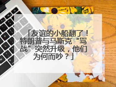 友谊的小船翻了！特朗普与马斯克“骂战”突然升级，他们为何而吵？