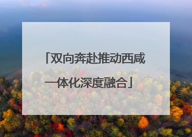 双向奔赴推动西咸一体化深度融合