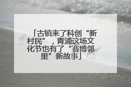 古镇来了科创“新村民”，青浦这场文化节也有了“赛博邻里”新故事
