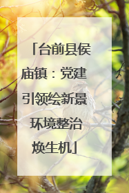 台前县侯庙镇：党建引领绘新景 环境整治焕生机