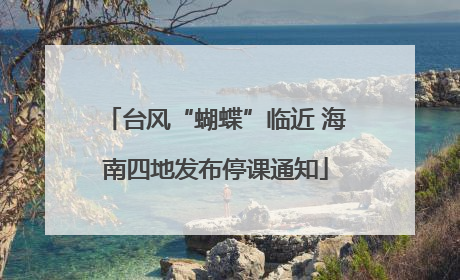 台风“蝴蝶”临近 海南四地发布停课通知