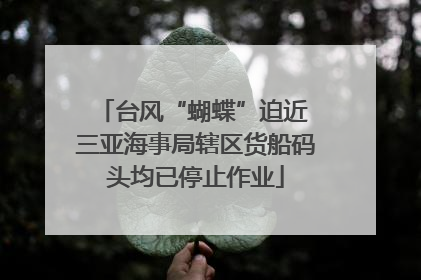 台风“蝴蝶”迫近 三亚海事局辖区货船码头均已停止作业