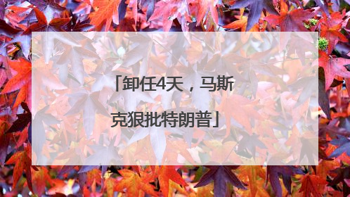 卸任4天，马斯克狠批特朗普